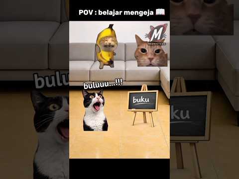 bahasa mahkluk apa ini ? 🤣 #komedi #hiburan #memekucing #kucinglucu #trending