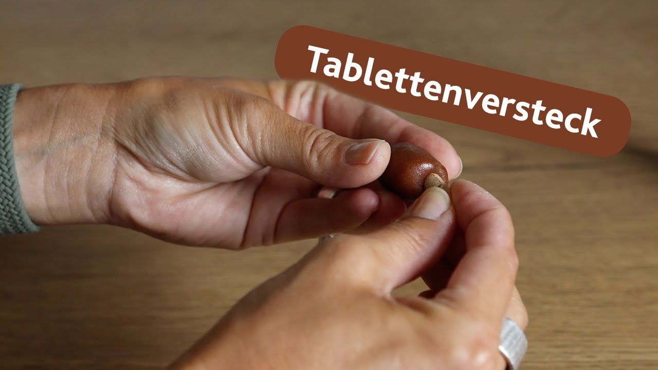 Trixie Tabletten-Versteck, Befüllbare Snacks, 100 g