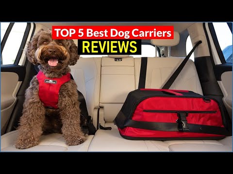 Top 5 Dog Carriers for Travel