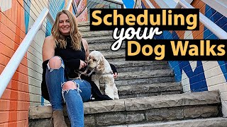 How a Dog Walker Schedules Walks