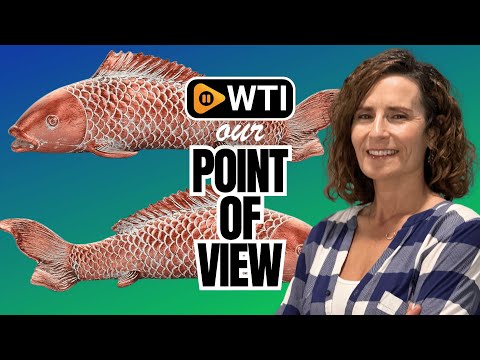 Garden Statues Koi Fish Decor - WTI product video review