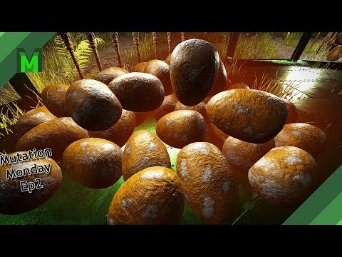 Mutation Monday Ep2!  Mass hatching Pachyrhinosaurus!