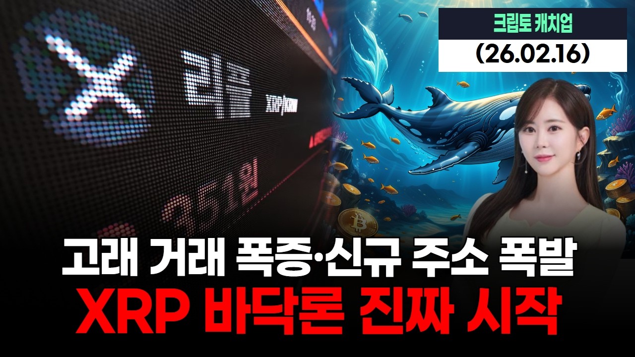 고래 거래 폭증·신규 주소 폭발… XRP 바닥론 진짜 시작