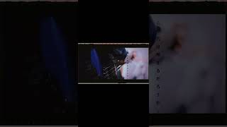 ヨルシカ LIVE TOUR 2025「盗作再演」盗作/創作セトリメドレー Guitar＆Basscover byフクレモ.  #盗作live  #キタニタツヤ【#盗作】【#ヨルシカ】【#盗作再演】