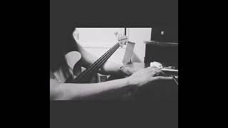 Tha Shiznit - Snoop Dogg (cover)