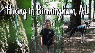 Hiking in Birmingham, AL | whippet hiking | Red mountain | best dog park in Birmingham, AL
