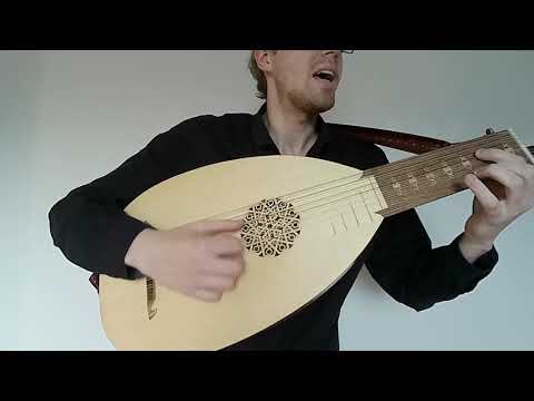 Subway to Sally Minne - Lute Cover / Cover für Laute