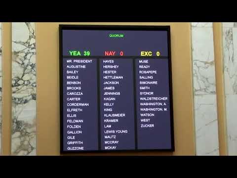 Senate Floor Session, 4/7/2023 #2