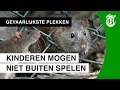 Rattenplaag teistert complete stad - GEVAARLIJKSTE PLEKKEN #05
