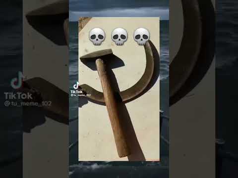 Bro almost revived stalin and soviet Union 💀