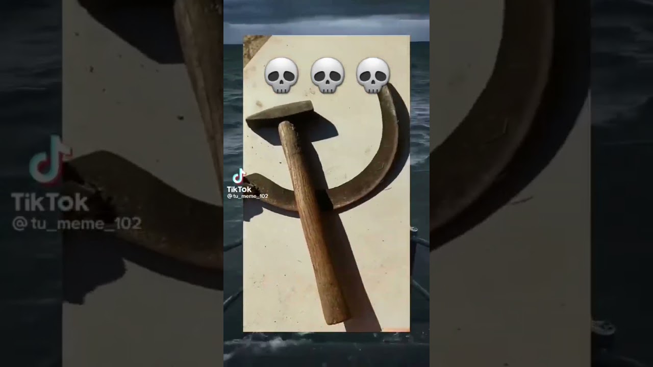 Bro almost revived stalin and soviet Union 💀