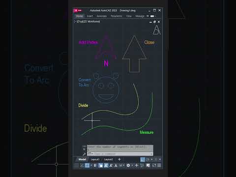Intermediate To Advanced AutoCAD architecture floorplan architect