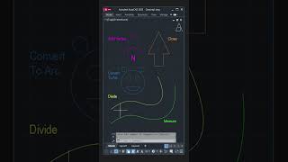 Spline, Polyline, Divide, Measure - AutoCAD Tutorial #architecture #autocad