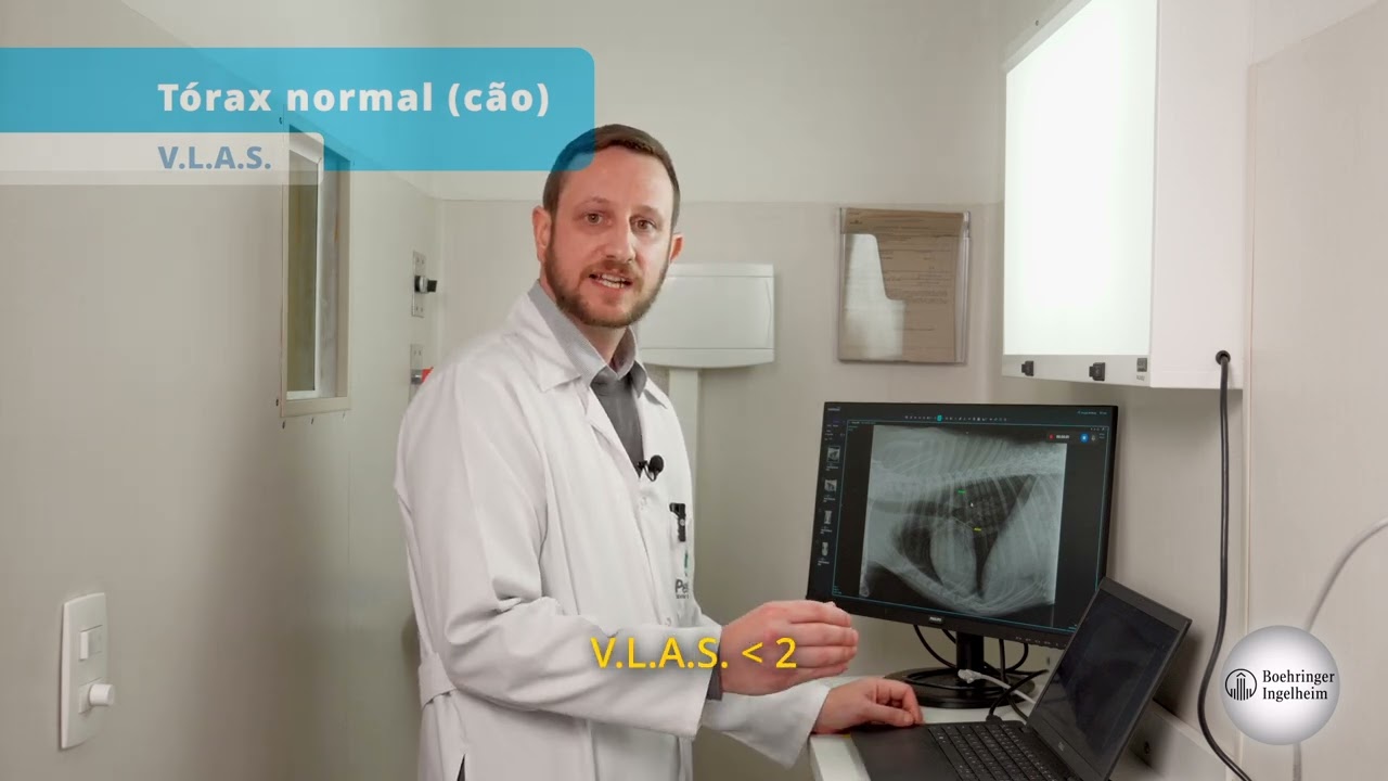 Vídeo aula: Como calcular o VHS e VLAS, com o Dr Fábio Calderon.