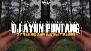 Download lagu DJ SUNDA AYUN PUNTANG [KARINDING BAJIDOR ] DJ ALVISENA RMX mp3