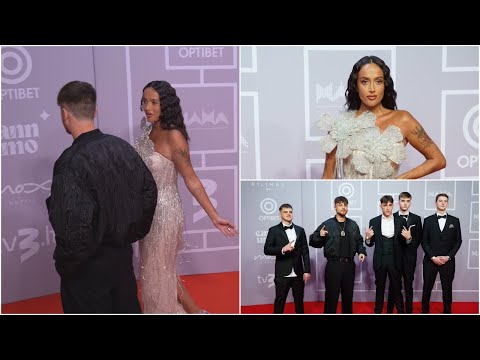 Įamžintas diskusijas sukėlęs OG-Version elgesys su K. Meschino: įrašai plinta internete