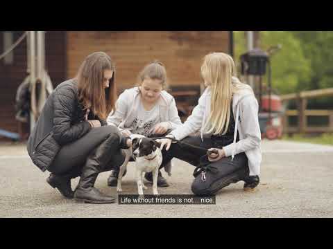 SUPPORT CROATIAN CHILDREN CARING FOR EACH OTHER