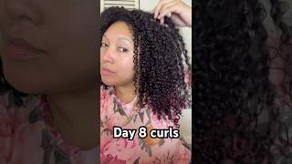 This wash and go lasted 10 DAYS 😳🥰 @Michebeauty #curlyhair #naturalhair #washandgo