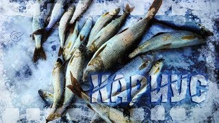 Байкальская рыбалка 2020 где пройдет