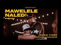Mawelele ft. Naledi Aphiwe - Naledi (Official Music Video)