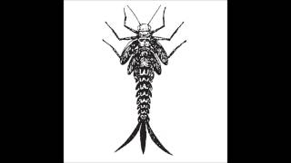 Rainforest Spiritual Enslavement - But The Next Morning It Was Back Here Again...