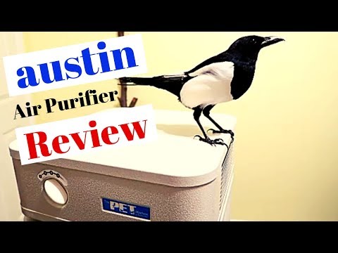 download lagu mp3 mp4 Austin Air Purifier Amazon, download lagu Austin Air Purifier Amazon gratis, unduh video klip Austin Air Purifier Amazon
