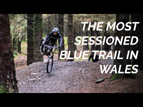 Popty Ping at Bike Park Wales - Trail Check