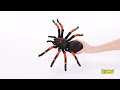 Robo Alive Crawling Spider Glow In The Dark Robotic Toy By ZURU
