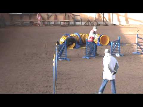 Nanou`s erster fehlerfreier Jumping am 25.01.2014 in Emstal