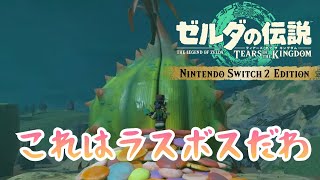 貴様はもしや！？！？ついにあれができる！『ゼルダの伝説ティアーズオブキングダム』The Legends Of ZELDA Tears Of Kingdom Switch2 Edition 