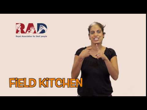 How to Sign Field in BSL