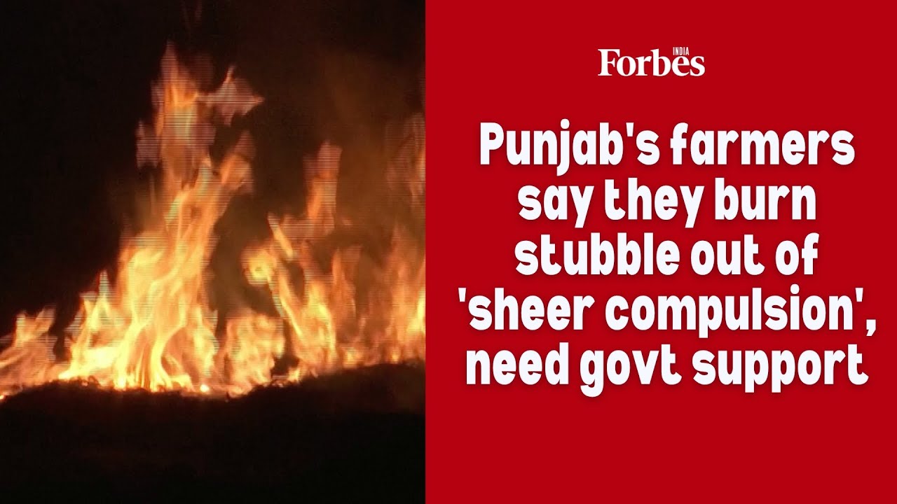 Punjab's farmers say they burn stubble out of 'sheer compulsion', need government support
