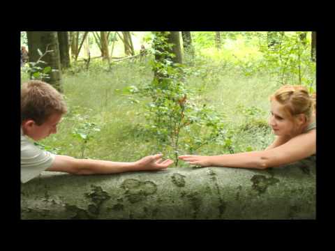 Dave Shifting - Farewell (Original Mix)