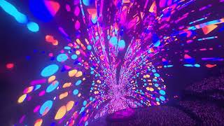 PHISH Moma dance.  04/25/2026