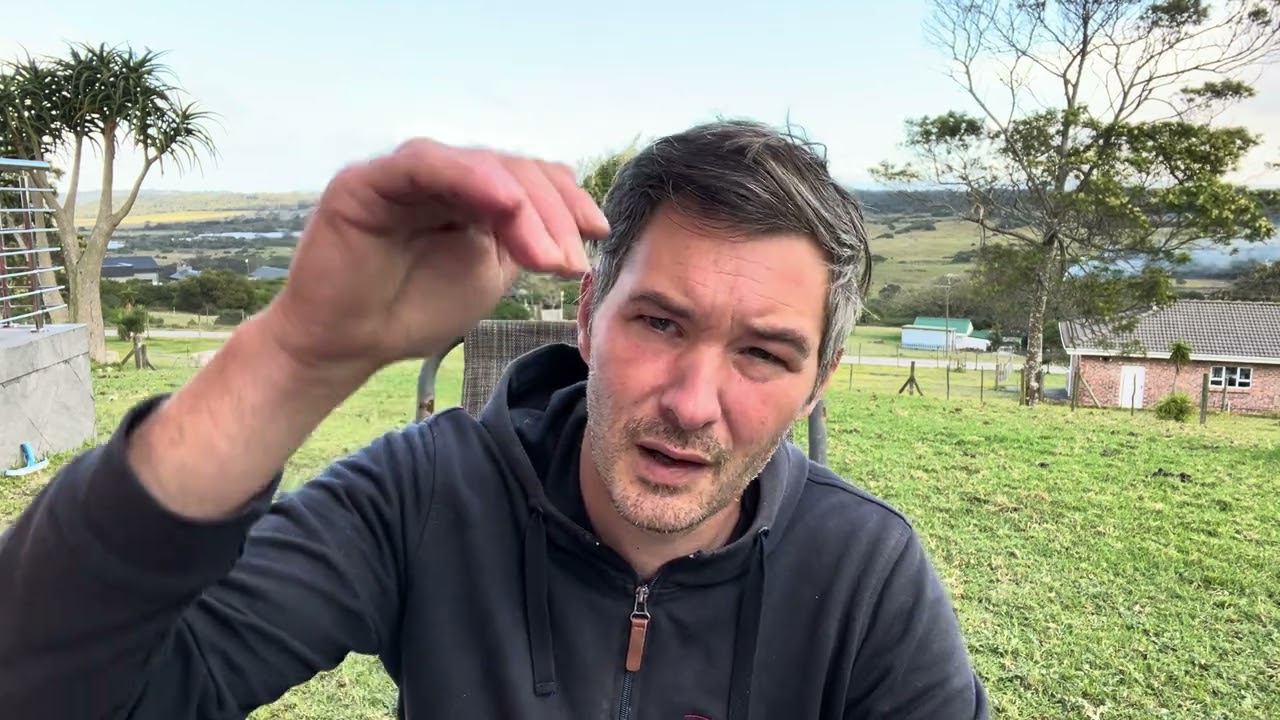 Jehovah’s witnesses: how to rebuild your life after exiting the religion