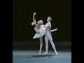 Nadezhda Pavlova, Vyacheslav Gordeev - 'The ...