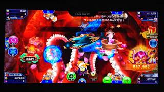 ゴールデンホイヤー♯1