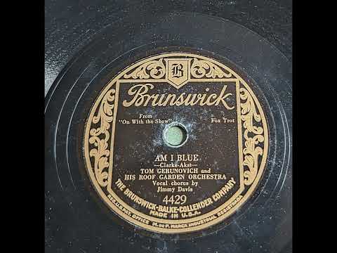 Tom Gerunovich & His Roof Garden Orchestra - Am I Blue