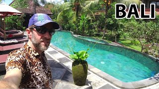 How Expensive is BALI? A Paradise Island in Indonesia