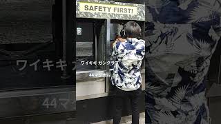 実銃 44マグナム