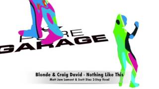 &quot;Nothing Like This&quot; Blonde &amp; Craig David (Matt Jam Lamont &amp; Scott Diaz 2 Step Mix)