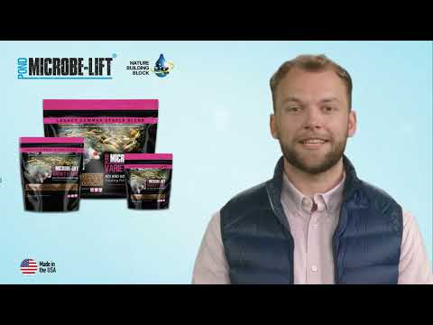 Microbe Lift Legacy Koi and Goldfish Food Variety MIX Formulation Change!