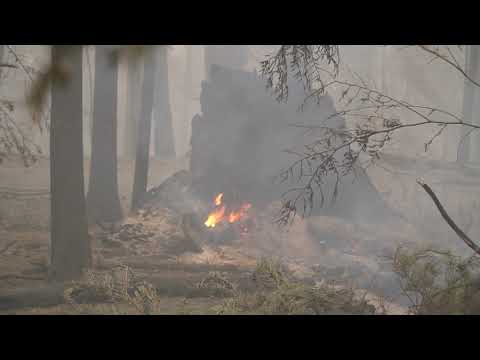 OR 126 Forest Fire Sept 12 2020