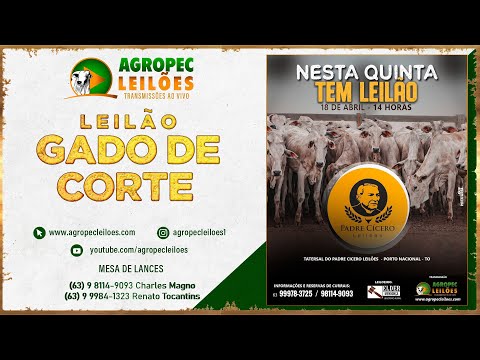 Agropecleiloes.com LEILÃO GADO DE CORTE | PADRE CÍCERO LEILÕES-PORTO NACIONAL-TO| 18/04/2024.