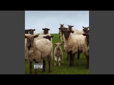 Video thumbnail for Lil Bo Peep