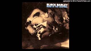 Block Barley: Manipulations And Soulful Sounds