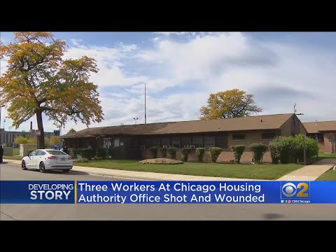 Three Shot In Chicago's University Village