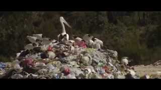 Video Sistem Erorr - Človek / Human (Official Video)