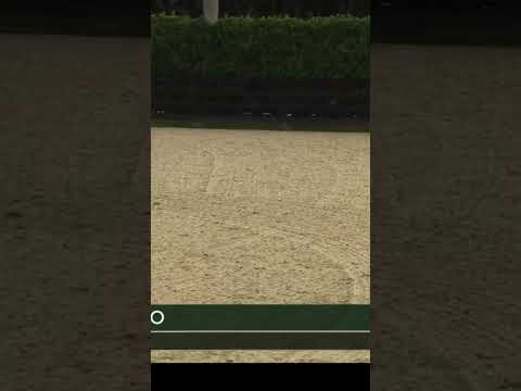 Sun King video 3