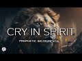 CRY IN SPIRIT PROPHETIC WORSHIP INSTRUMENTAL THEOPHILUS SUNDAY MEDITATION MUSIC